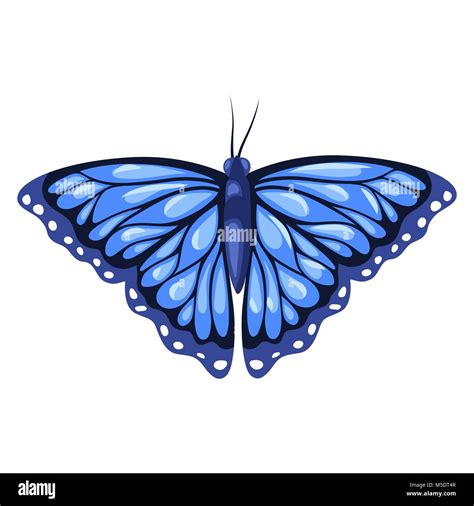 Blue Monarch Butterfly Hi Res Stock Photography And Images Alamy