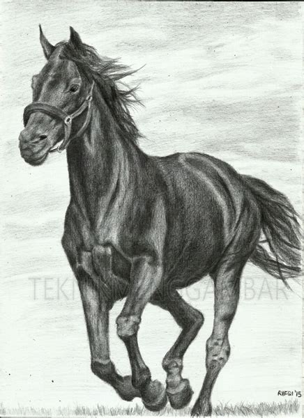47 Sketsa Lukisan Kuda