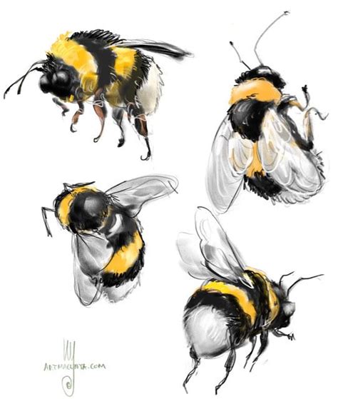 Everyday Sketches Bumble Bee Bee Drawing Bee Painting Bumble Bee Art
