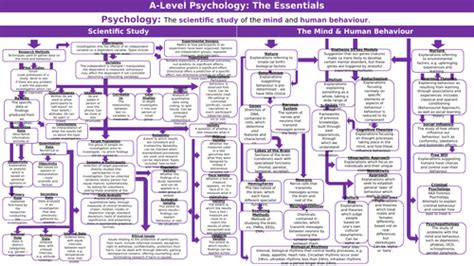Psychology Subject Essentials Flow Chart Teaching Resources