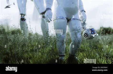Mother Robot With Her Baby Robot In The Meadow On The Background Of A