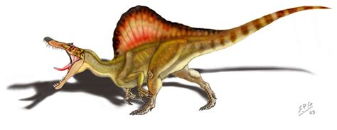 Dunia Hewan Purba Spinosaurus