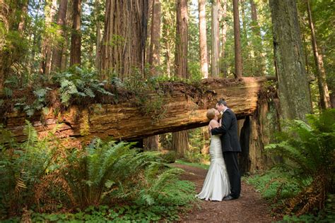 Weddings In Redwood National And State Parks