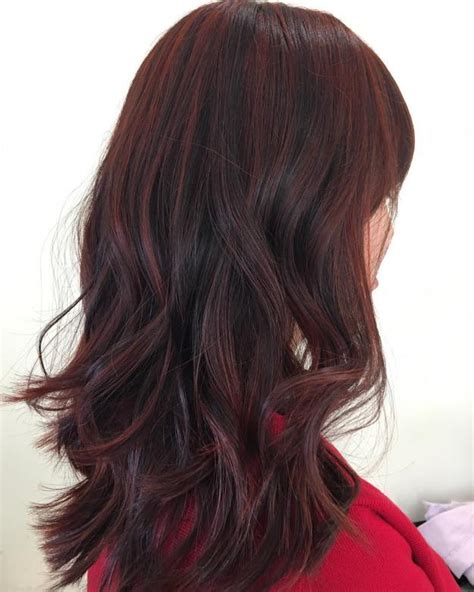 Reddish Brown Hair Color 2021 Haircuts Hairstyles And Hair Colors