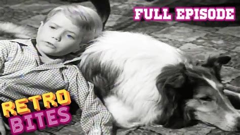 Lassie The Crash Lassie English Full Episodes Old Cartoons Youtube