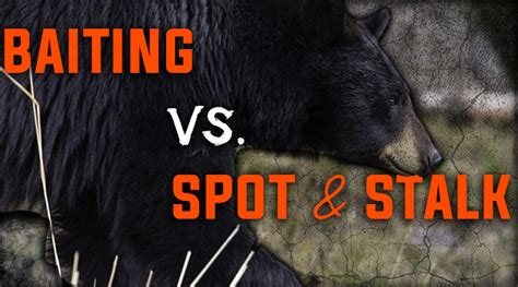 Bear Baiting Vs Spot And Stalk Bear Hunting Eastmans Official Blog
