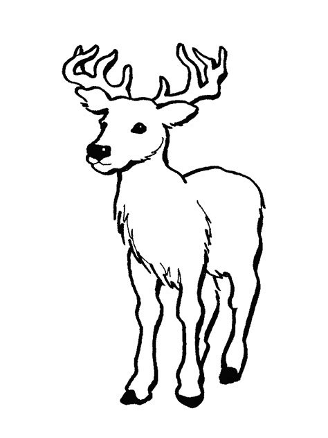 236x314 free printable deer coloring pages for kids wood burning. Deer coloring pages to download and print for free