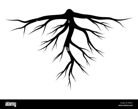 Tree Roots Silhouette