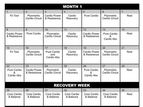 Insanity Workout Schedule Download Printable Pdf Templateroller Free