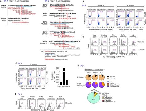 Induction Of Polyfunctional Neoantigen Specific CD4 T Cell Responses