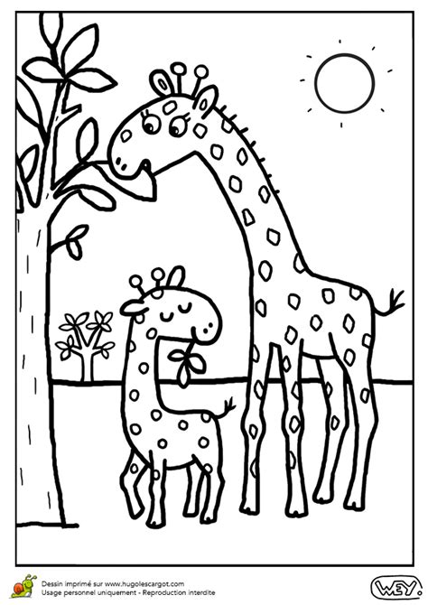 Coloriage Bébé Girafon Et Maman Girafe Avec Images Coloriage Bébé