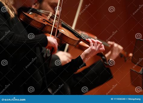 Classical Music Violinists In Concert Stringed Violinistcloseup Of