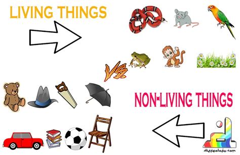 Difference Between Living And Non Living Things Living Vs Non Living Images