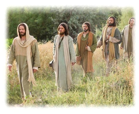 Seguidores De Jesucristo