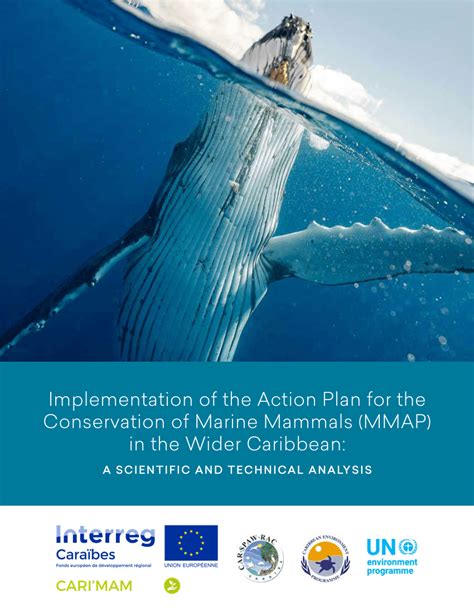 Pdf Implementation Of The Action Plan For The Conservation Of Marine