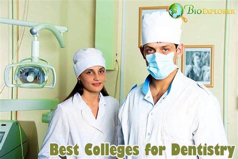 Top 14 Best Colleges For Dentistry Bioexplorernet