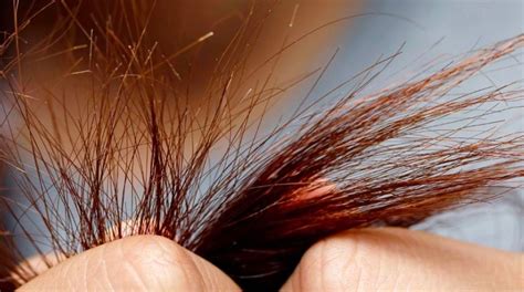 What Causes Split Ends And How To Prevent Them Garnier
