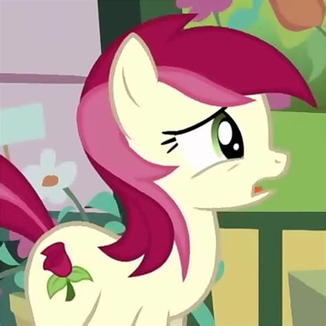 Roseluck Lily Or Daisy Poll Results My Little Pony Friendship Is