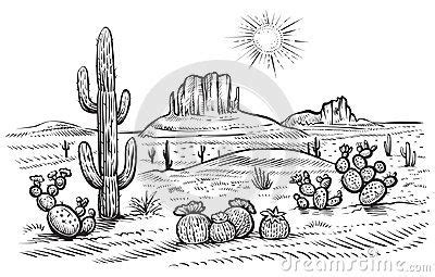 Desert Landscape Vector Illustration With Saguaro And Opuntia Blooming