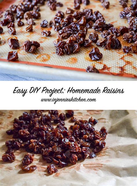 Homemade Raisins Easy Food To Make Food Raisin