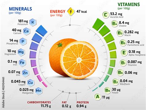 Vitamins And Minerals Of Orange Fruit Orange Nutrition Facts Stock