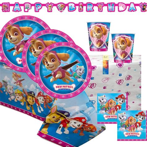 Paw Patrol Girl Pink Skye Everest Birthday Party Supplies - Walmart.com