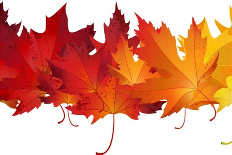 Download Autumn Leaves Clipart Transparent Background Red Autumn