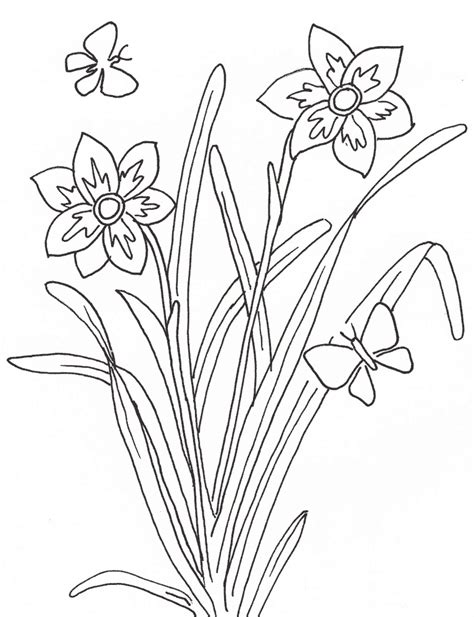 Dibujos De Plantas Para Colorear Dibujos De Plantas Infantiles Para Pintar
