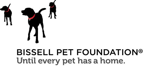 Pet Haven of South Carolina – Animal Rescue Service Greenville, SC