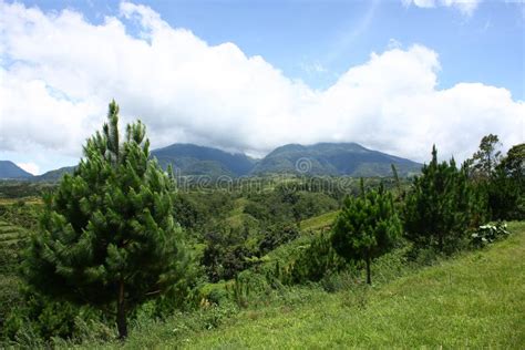 Mount Kitanglad Stock Photo Image Of Mountaineer Bukidnon 18813326