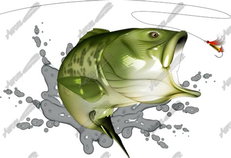 Largemouth Bass Aurora Graphics