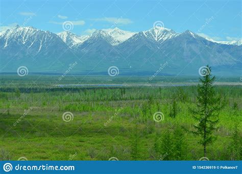 Forest Sky Snowy Mountains Green Valley And River Siberian Alphs