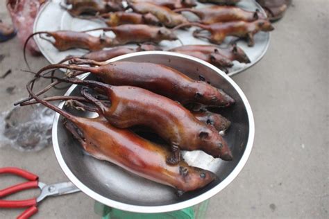 Đặc Sản Thịt Chuột Giá đắt ở Hà Nội