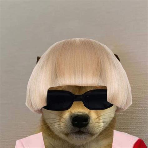 Pin By Stilly On Pup Dog Sunglasses Dog Icon Dog Memes