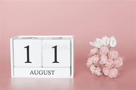 August 11th Day 11 Of Month Stock Photo Image Of Pink Number 145045242