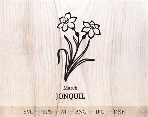 Jonquil Svg March Birth Flower Svg Birth Month Flower Outline Drawing