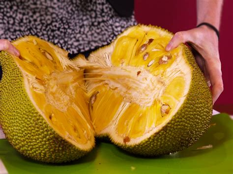Seattle Garden And Fruit Adventures Jack Fruit Grown From Seed