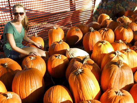 Top 15 Fun Fall Activities In The Tampa Bay Area