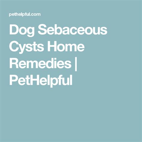 Dog Sebaceous Cysts Home Remedies Home Remedies Remedies Dogs