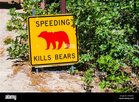 Danger Sign Speeding Kills Bears In Yosemite National Park Stock Photo
