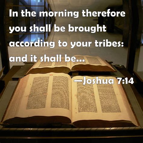 Joshua 714 In The Morning Therefore You Shall Be Brought According To