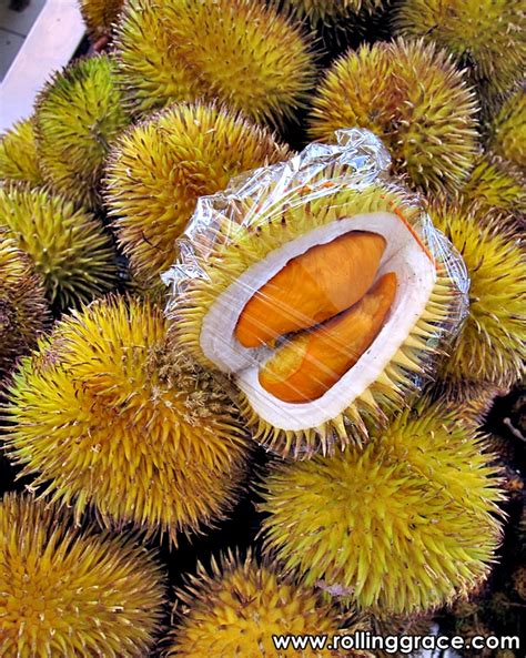 Red And Orange Durians Of Sabah Sarawak And Brunei