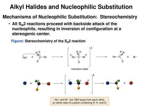 PPT NUCLEOPHILLIC SUBSTITUTION REACTIONS Mechanism Of SN1 SN2