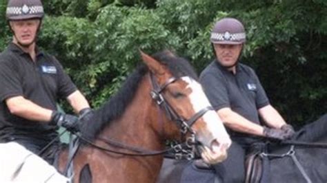 South And West Yorkshire Police Forces Could Merge Mounted Units Bbc News