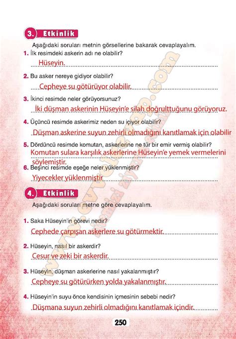 3 Sinif Turkce Ders Kitabi Sonuc Yayinlari Sayfa 250 Cevaplari Nkadin