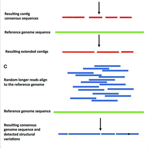 Approaches For Reference Based Genome Assembly A Shorter Read