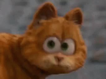 Gif Shocked Surprised Garfield Discover Share Gifs