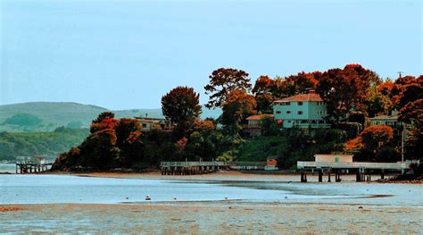 San Rafael Ca San Rafael Bay Photo Picture Image California At