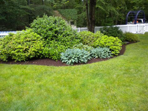 If you want to remove a big tree, you have to prepare for some serious work. Landscaping Bushes | Newsonair.org