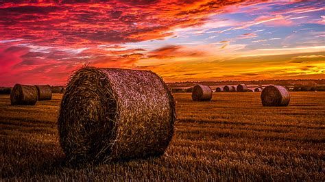 Hd Wallpaper Hay Field Sky Prairie Straw Sunset Harvest